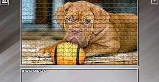 Super Jigsaw Puzzle: Generations - Dogs 3