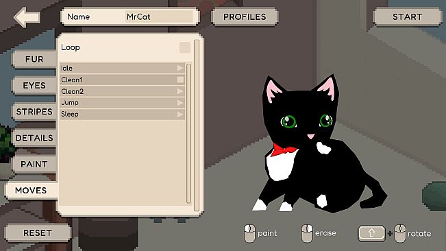 My Cat Companion