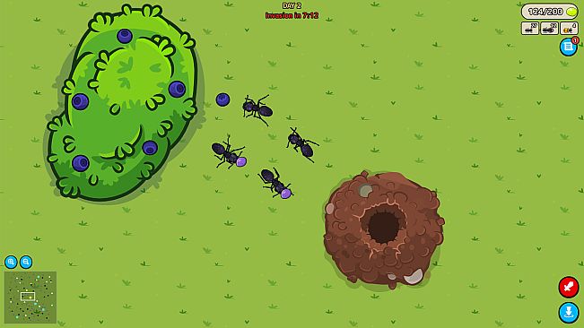 Anthill Wars: Ant Colony Sim