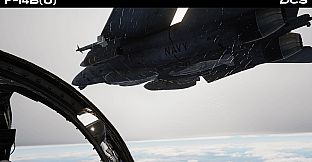 DCS: F-14B(U) by Heatblur Simulations