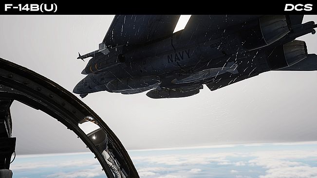 DCS: F-14B(U) by Heatblur Simulations