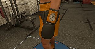 The Thrill Of The Fight 2 - Fitz Gym Original Gloves