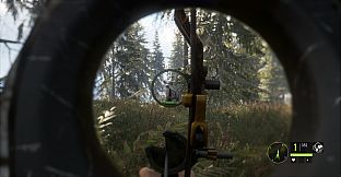theHunter: Call of the Wild - Bearclaw Lite Compound Bow