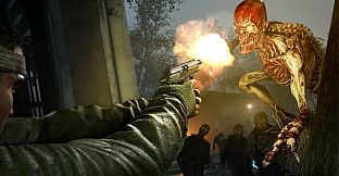 Zombie Army 4: 7.65mm Polizeipistole Pistol Bundle