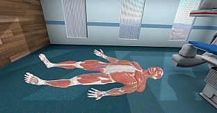 Human Anatomy VR