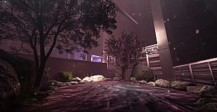 NearPrime VR - Net Burn