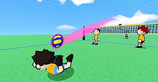 just volleyball