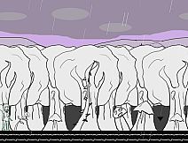 白玉的幻梦 Dream of Hakugyokurou