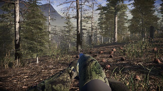 Pro Tukey Hunting