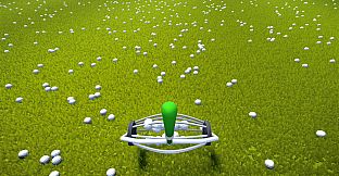 BALL PICKER - Clean Up the Golf Yard
