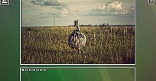 Super Jigsaw  Puzzle: Generations - Random Puzzles