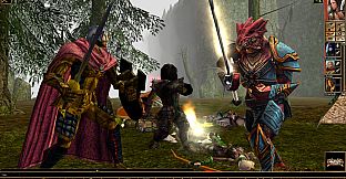 Neverwinter Nights: Enhanced Edition Tyrants of the Moonsea