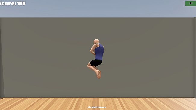 Gymnastics Simulator