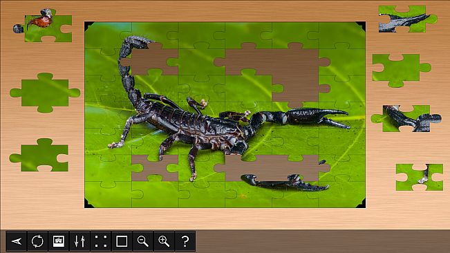 Jigsaw Puzzle World - Arachnids