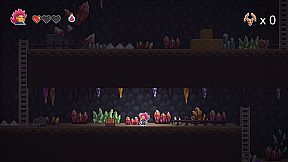 Sarah's Great Adventure