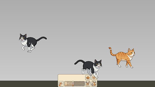 Nothing But Cats