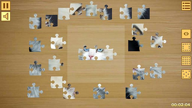 Jigsaw Puzzles
