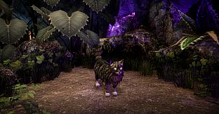 Another Sight - Hodge Skins