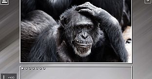 Super Jigsaw Puzzle: Generations - Monkeys & Apes Puzzles