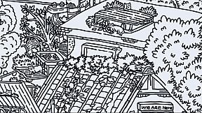 Hidden Cats In Fallen Leaves Town