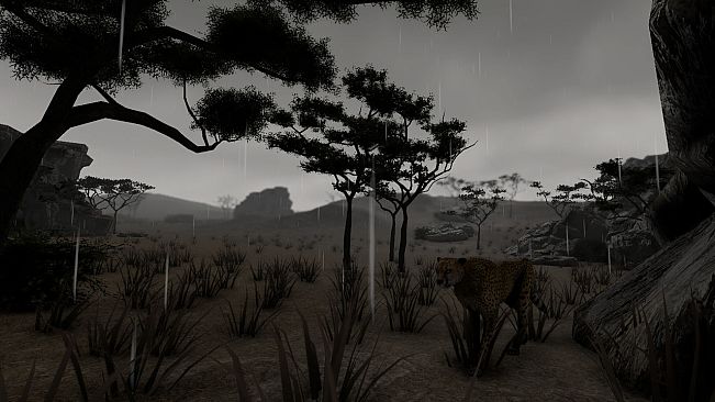 SAVANNA SHOT VR