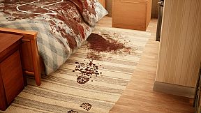 DETECTIVE - The Test