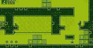 CHIP: Rescuer of Kittens