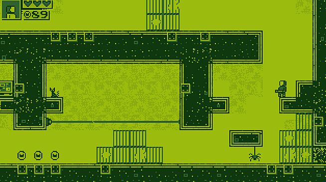 CHIP: Rescuer of Kittens