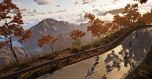 Longboard Skate Downhill Simulator