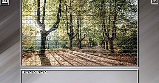 Super Jigsaw Puzzle: Generations - Forests