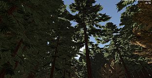 The Mannequin Forest