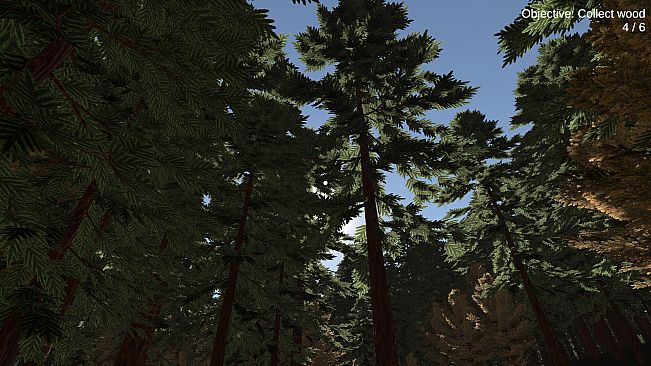 The Mannequin Forest