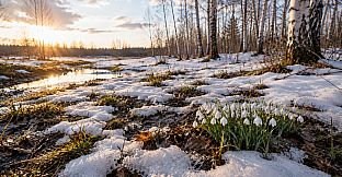Puzzles Snow