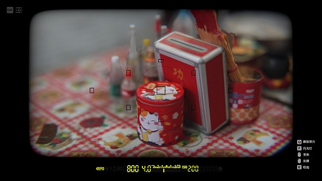 自梳：消逝的姑婆屋 Self-Comb Women: Home Left Behind