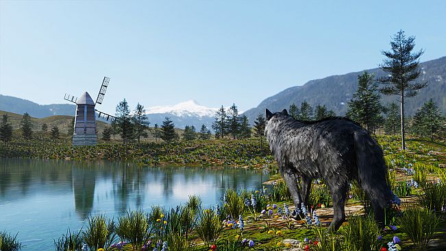 Wolf Simulator RPG