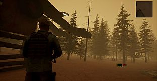 Zombie Town