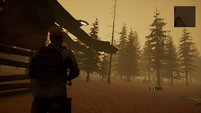 Zombie Town