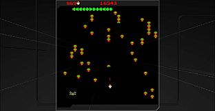 Centipede & Millipede