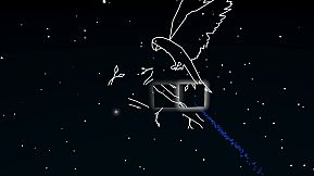 Hidden Shapes Animals - VR