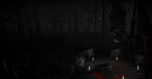 Sinister Soul: The Cursed Forest