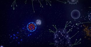 Microcosmum: survival of cells - Campaign  "New life"