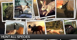 theHunter: Scent Hound Pack