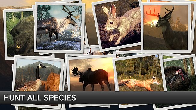 theHunter: Scent Hound Pack