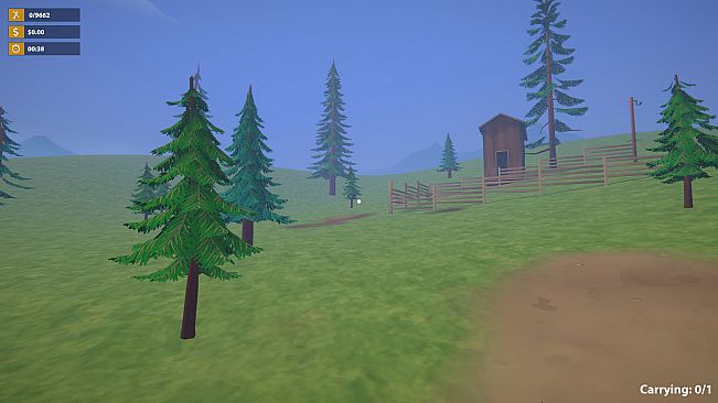 A Needle In A Haystack: Sorting Game