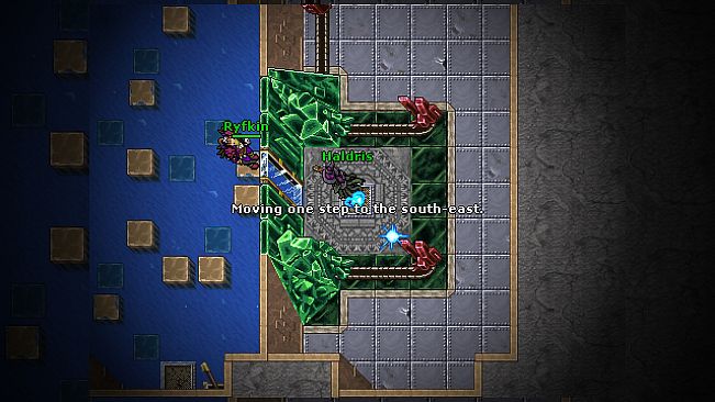 Tibia