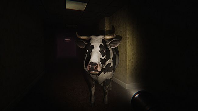 The Halls Remain