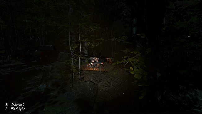 Project Unknown Designation