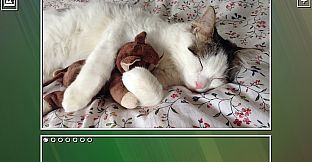 Super Jigsaw Puzzle: Generations - Kittens Puzzles