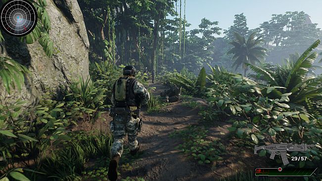 Intelligence Operation