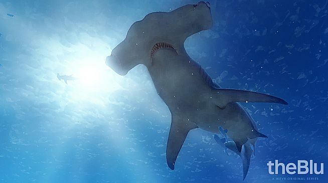 theBlu - Hammerhead Cove